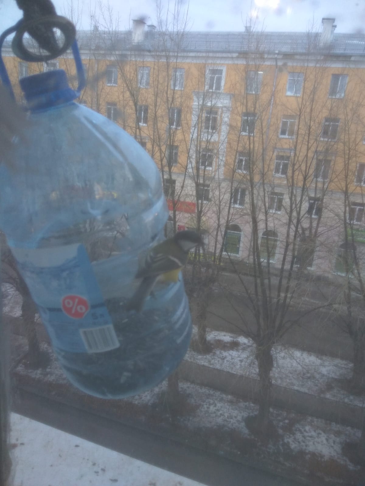 IMG 20211204 WA00111